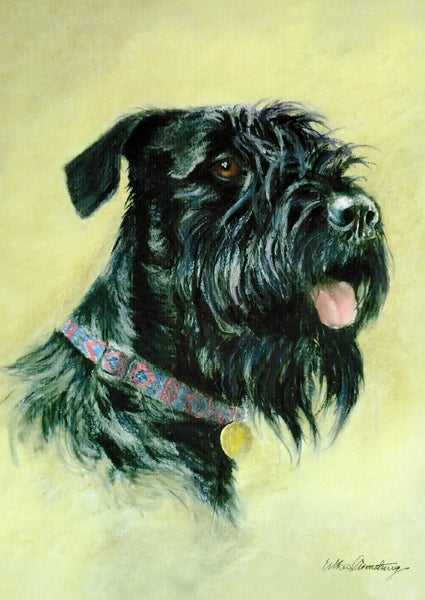 Schnauzer. Small Mounted Prints