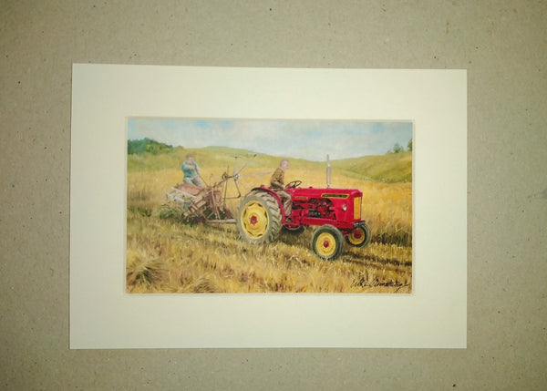 Old David Brown tractor