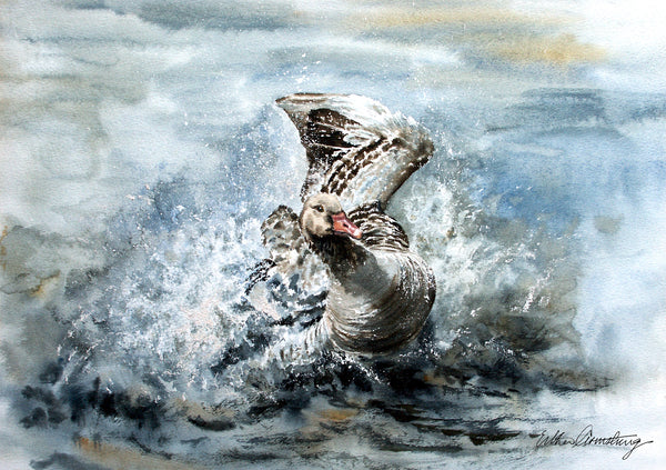 A6 mounted print of a watercolour painting of a greylag goose