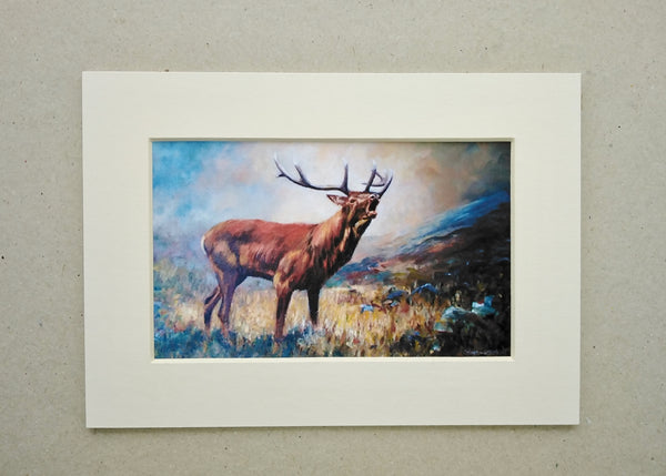 The stag rutting season in Autumn