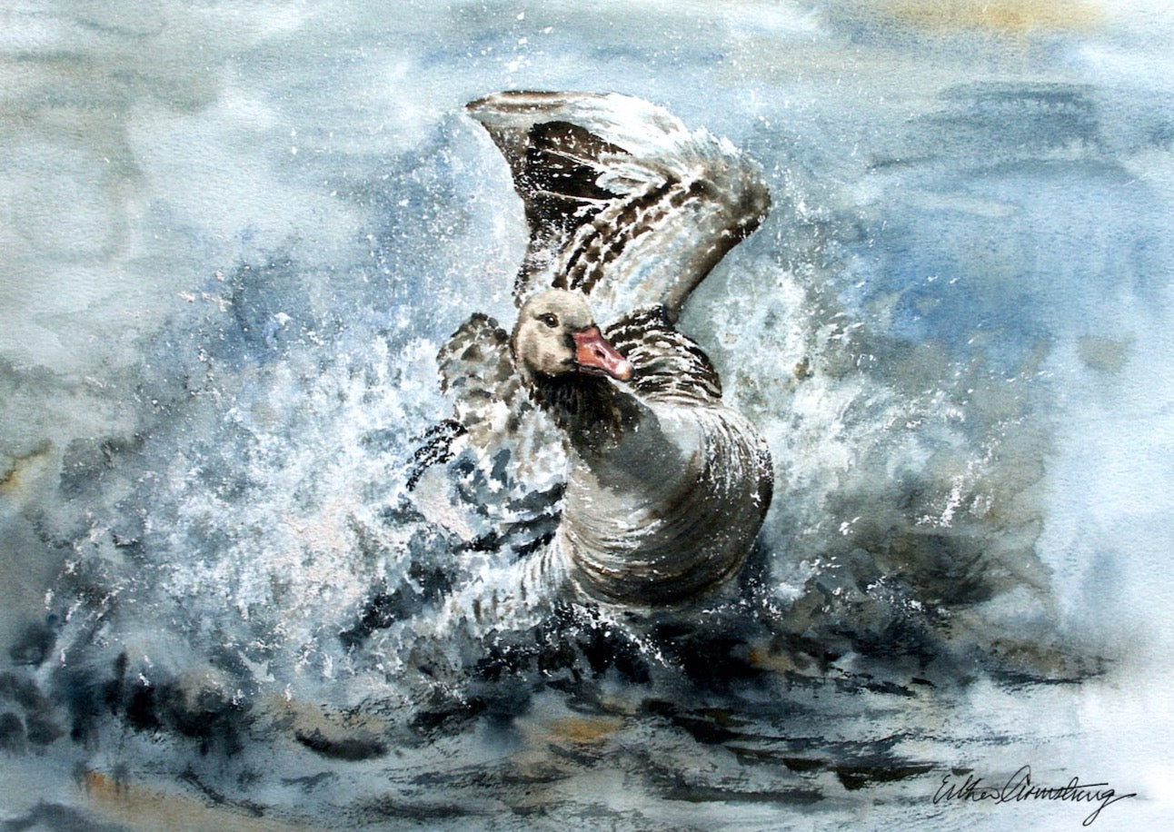 Greylag Goose in Watercolour