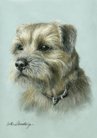 A6 mounted print of a pastel border terrier