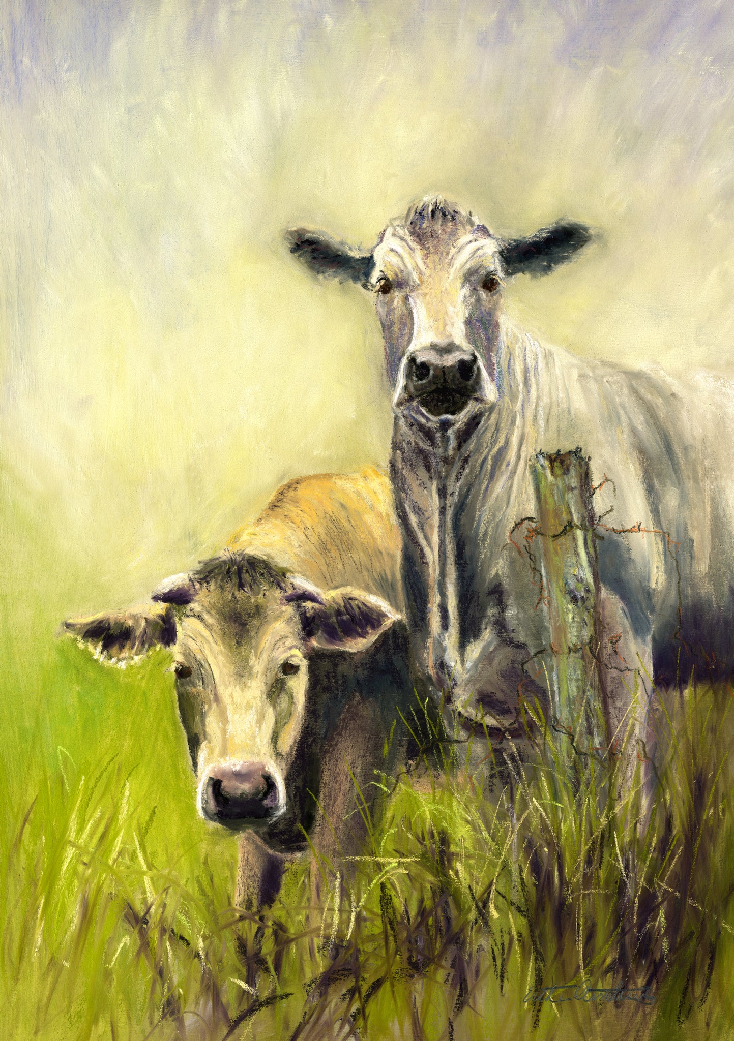 A6 mounted print of cattle