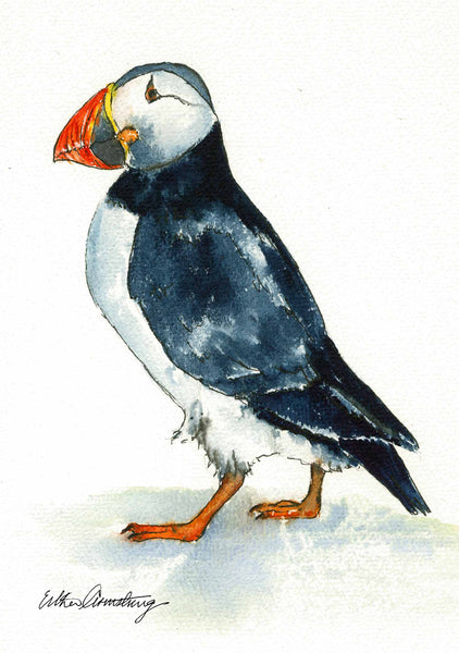 A6 mounted print of a colourful puffin