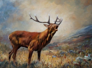 The Rutting Stag 