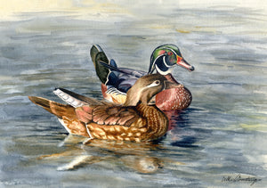 A6 mounted print of 2 mallard ducks in watercolour